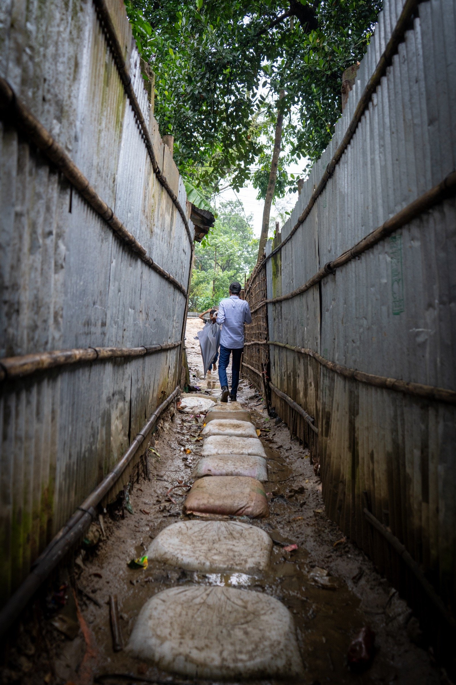 Narrow path between camp shelters and trees in the Rohingya settlement