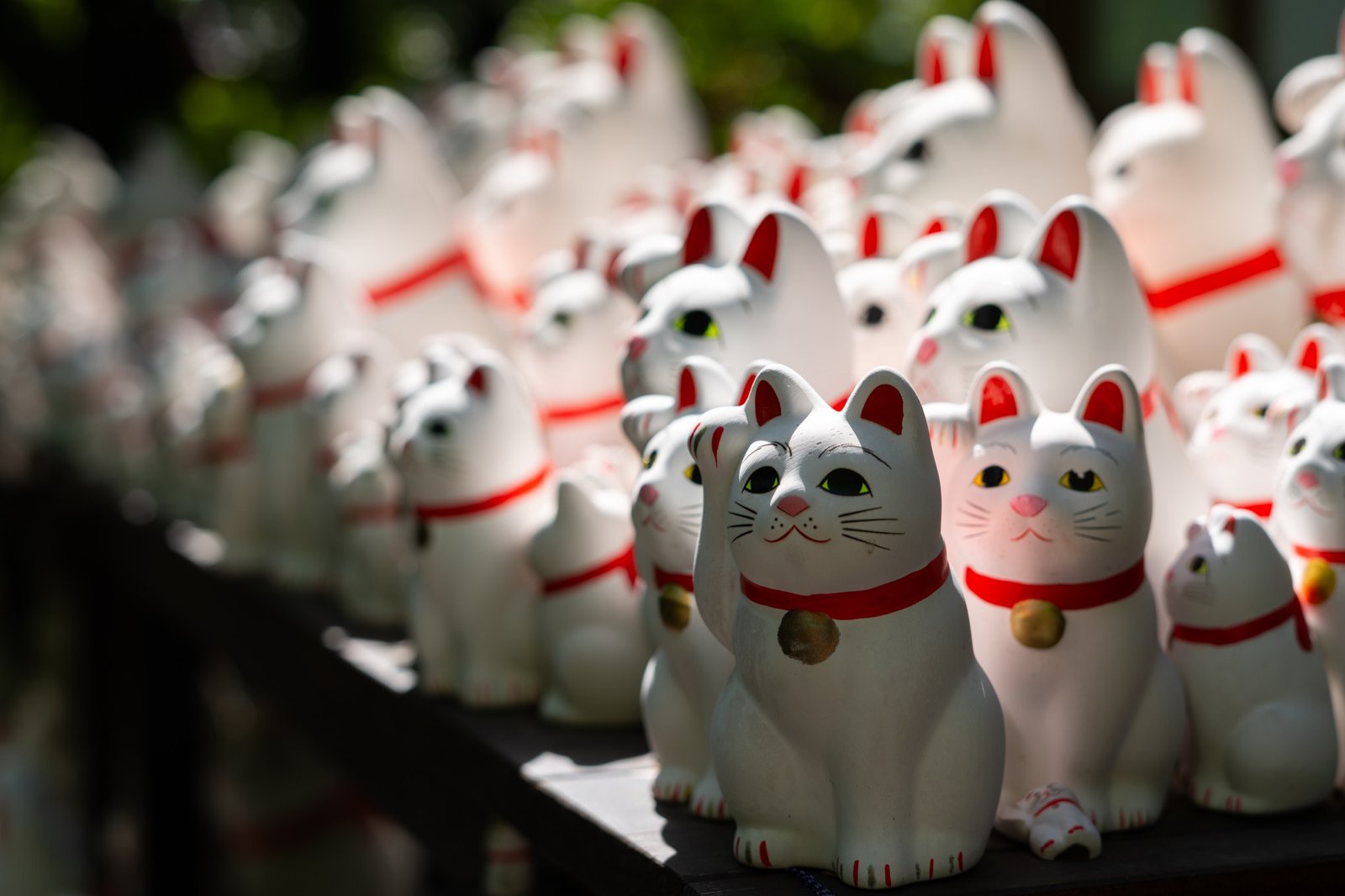 Rows of white beckoning cat figurines receding into soft focus