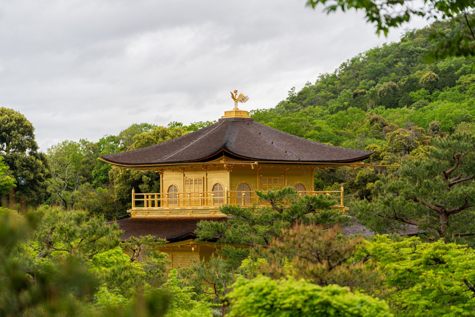 Gold pavilion set into dense green hills